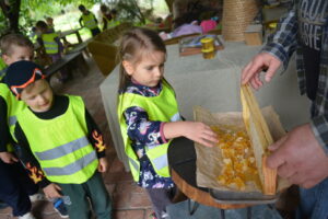 DSC