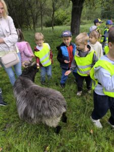 IMG 20260910