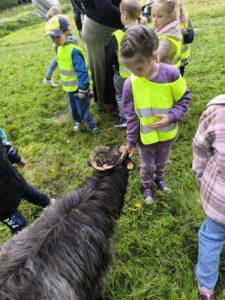 IMG 20260910